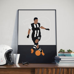 Ben Arfa - Newcastle