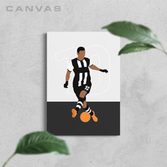 Ben Arfa - Newcastle