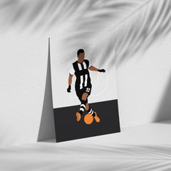 Ben Arfa - Newcastle