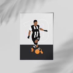 Ben Arfa - Newcastle