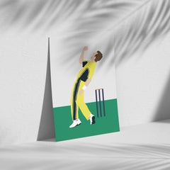 Brett Lee - Australia