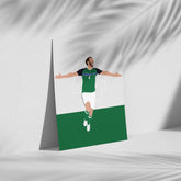 Gareth McAuley - Northern Ireland