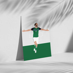 Gareth McAuley - Northern Ireland