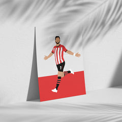 Shane Long - Southampton