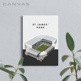 St James' Park - Newcastle