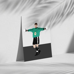 Shay Given - Newcastle