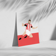 Lee Cattermole - Sunderland